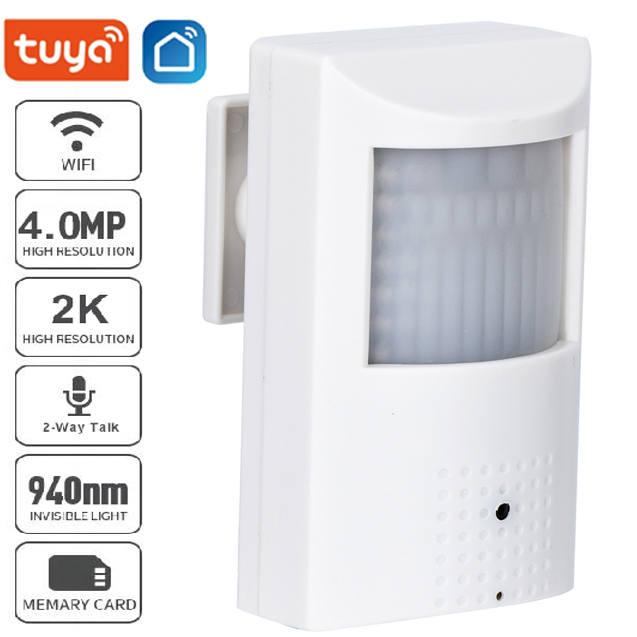 Smart Home Google Nest - Telecamera WiFi Mini POE Tuya con