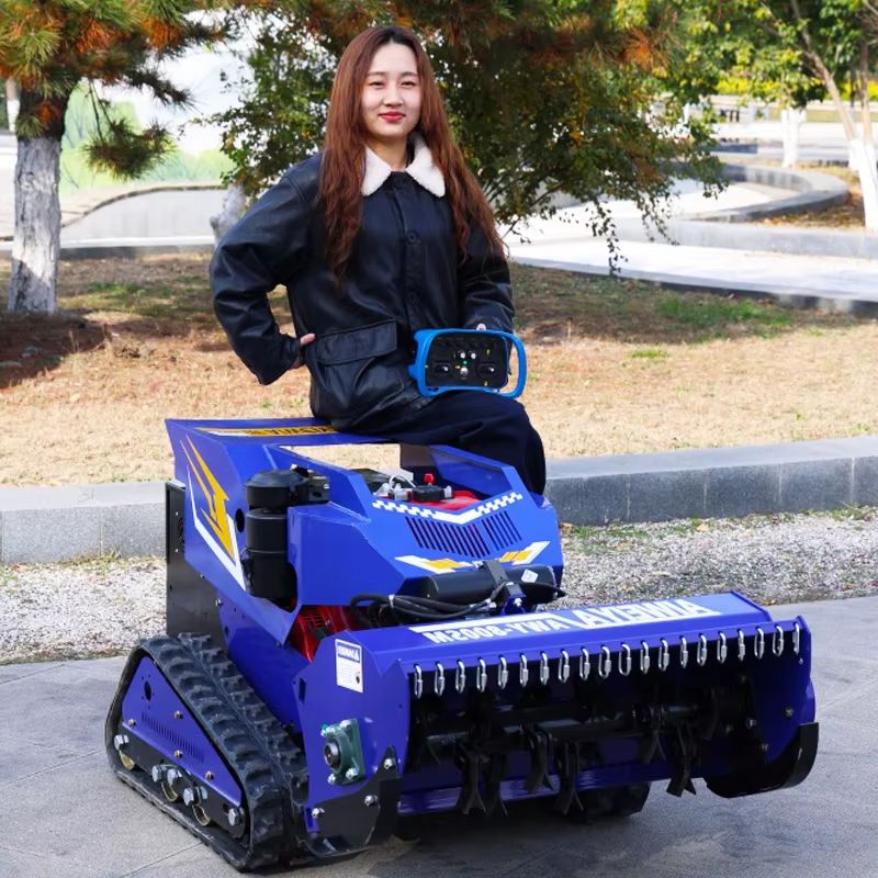 Smart Home Robot - Il robot tosaerba con telecomando intelligente
