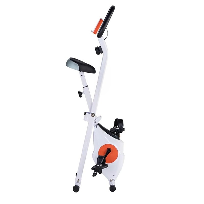 Cyclette Pieghevole Intelligen - Smart Home Gym recensione e prezzo