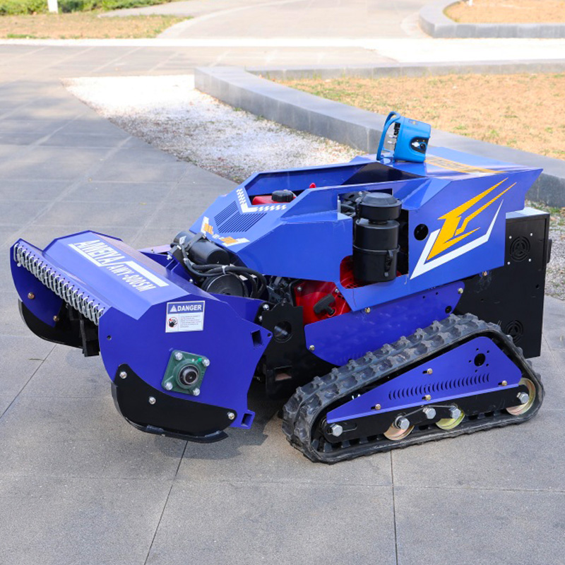 Il robot tosaerba con telecoma - Smart Home Robot recensione e prezzo