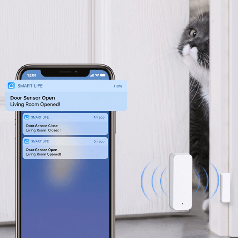 Sensore di contatto per porte  - Smart Home Tuya recensione e prezzo