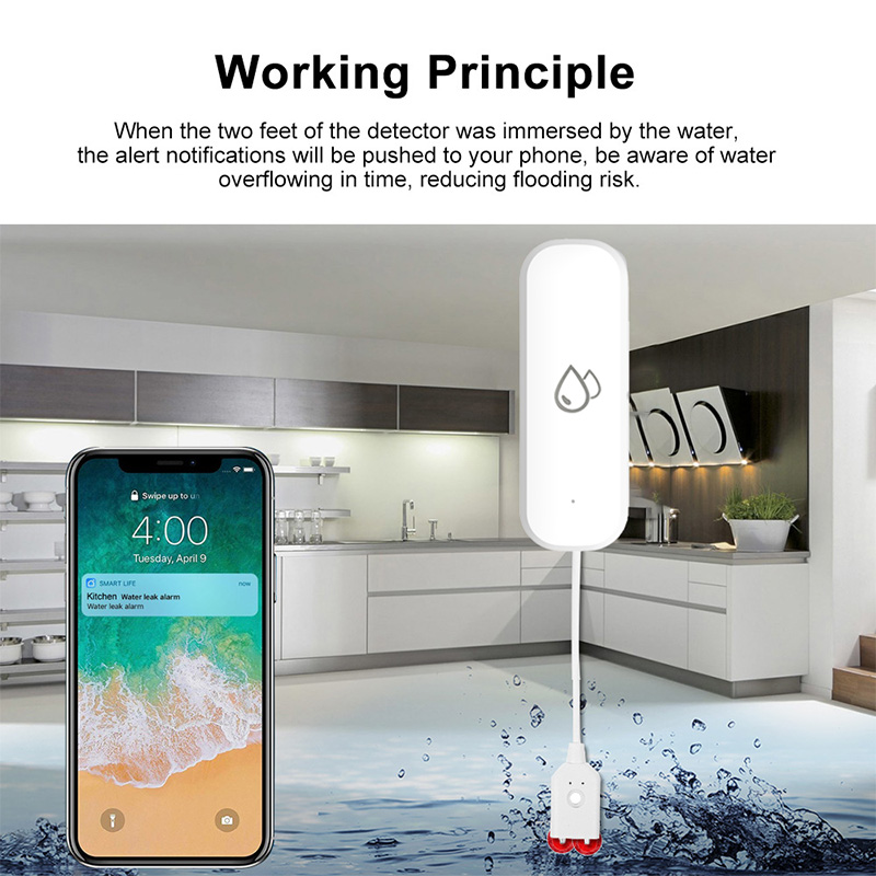 Sensore Allarme Perdite d'Acqu - Smart Home Proxmox recensione e prezzo