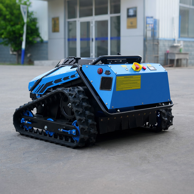 Tagliaerba Robot con Telecamer - Smart Home Robot recensione e prezzo