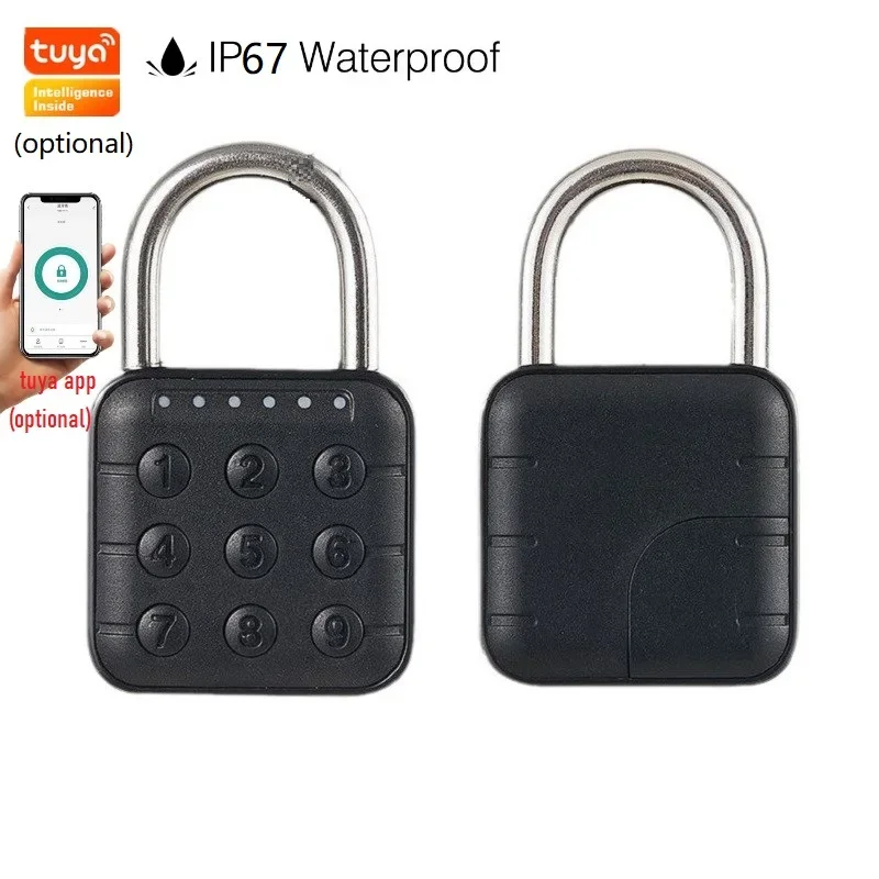 EGFirtor Tuya Smart Home Lucch - Smart Home Wellness recensione e prezzo