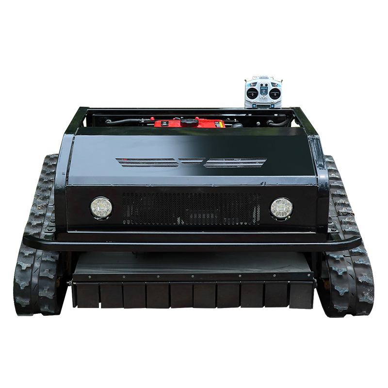 Rasaerba telecomandato persona - Smart Home Robot recensione e prezzo